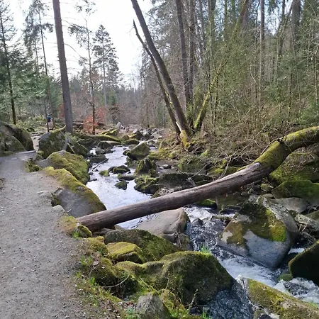 Apartman Dreilaendereck 403 Mit Sauna Und Hallenbad Hauzenberg