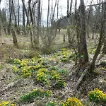 Dreilaendereck 403 Mit Sauna Und Hallenbad Apartamento *