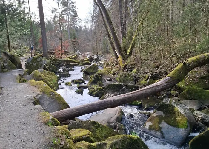 Appartamento Dreilaendereck 403 Mit Sauna Und Hallenbad Hauzenberg